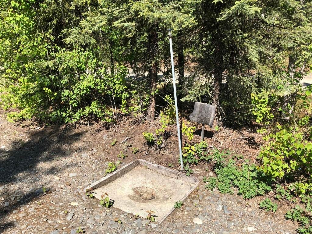 L10-11-A1 King Salmon Ave: King Salmon Ave, King Salmon, AK 99613